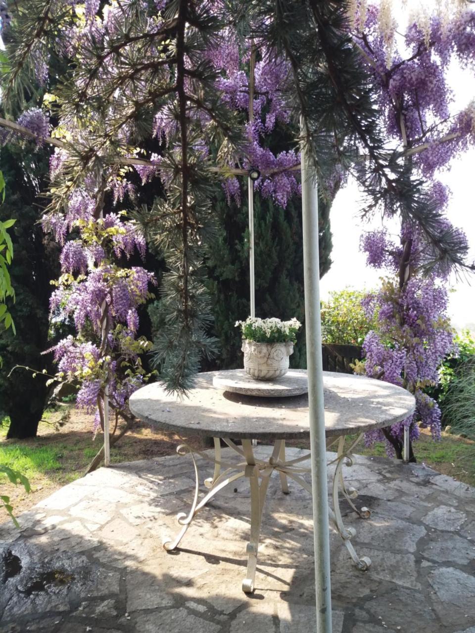 Novecento B&B Bollengo Exteriér fotografie