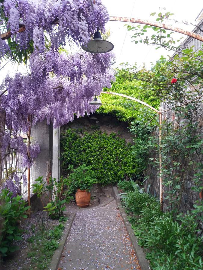 Novecento B&B Bollengo Exteriér fotografie